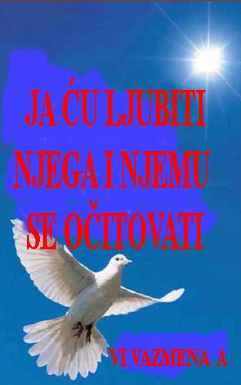 VI. VAZMENA A 2017.