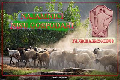 XVI NKG B 2018.