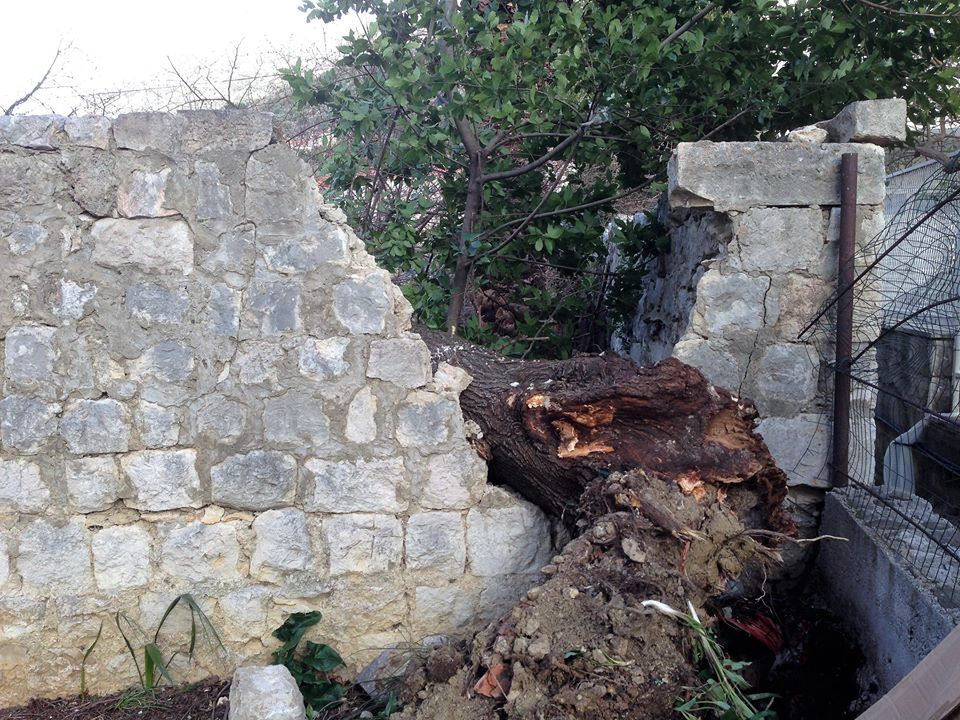 Bura je srušila dva brijesta i oštetila zidove vrta Franjevakog samostana u Rožatu