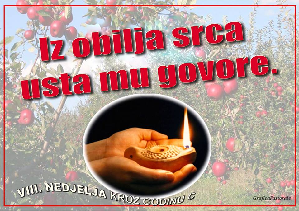 VIII. NKG C 2019,