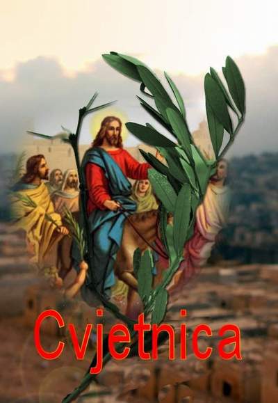CVJETNICA   C  2019.