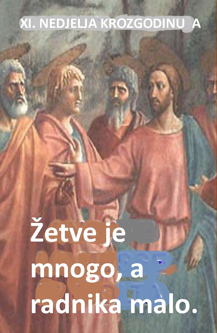 X i XI. NEDJELJA KROZ GODINU A 2026.